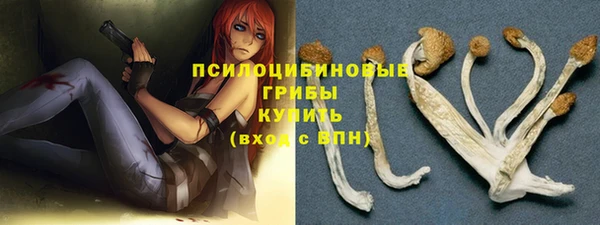 спайс Медвежьегорск