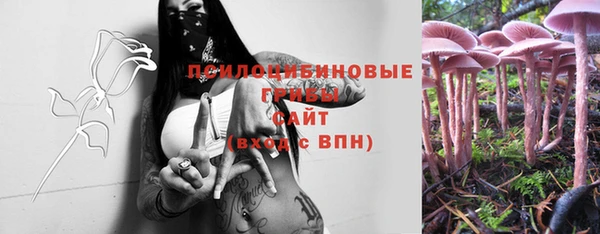 винт Медногорск